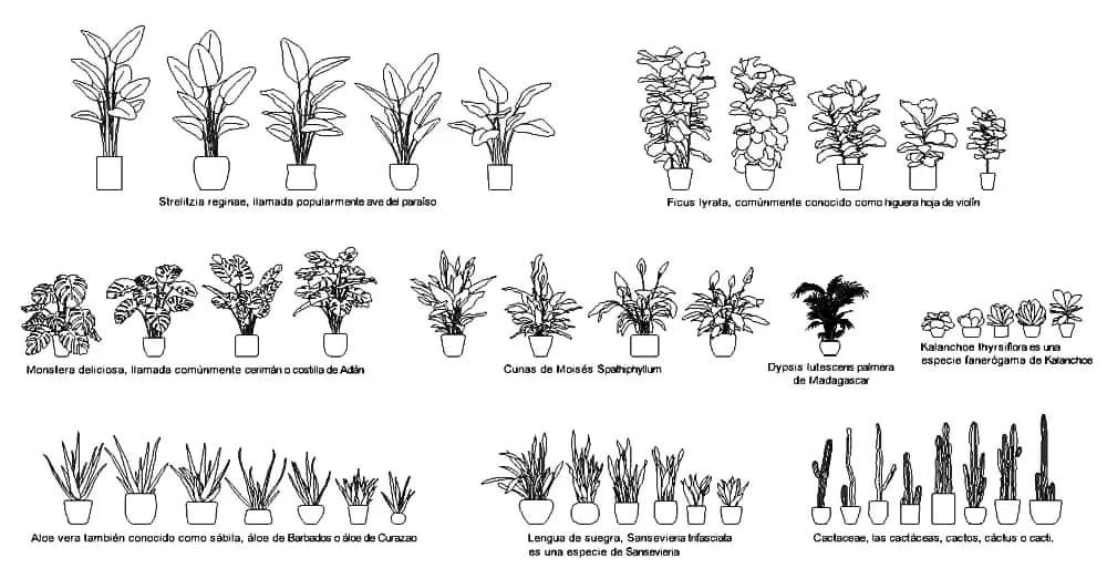 Pots Plants CAD Blocks – Free DWG 2D Plan and Elevation