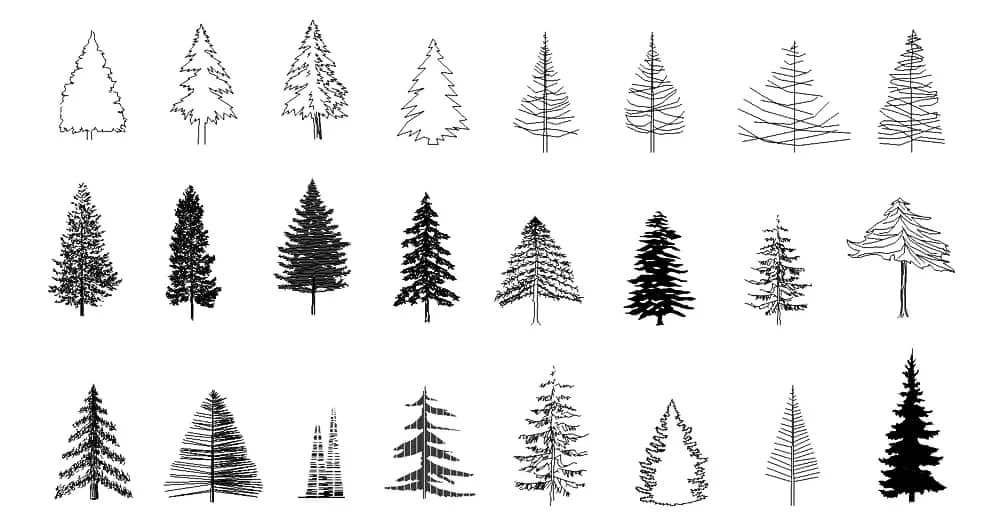 Tree CAD Blocks – Free DWG 2D Plan and Elevation
